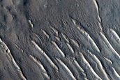 Northern Terra Cimmeria