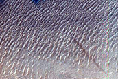 Gully Monitoring