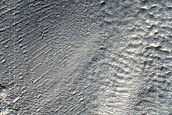 Gully Monitoring