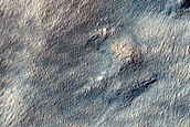 Terrain Sample
