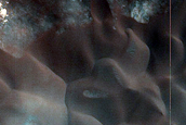 Dune Monitoring in Crater