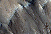 Ridge Network South of Lycus Sulci