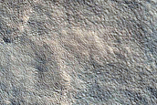 Dark-Toned Unit with Scalloped Depressions