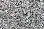 Northern Plains Terrain Sample