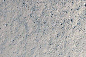 Boulder-Filled Gully in West Nereidum Montes