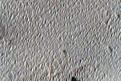 Candidate Recent Impact Site