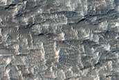 Candidate Recent Impact Site