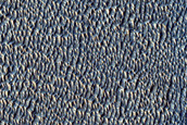 Re-Image Candidate Recent Impact Site