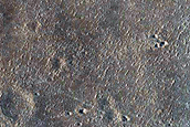 Terrain Sample