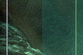 Gully Monitoring