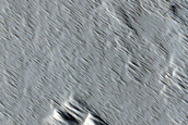 Candidate Recent Impact Site
