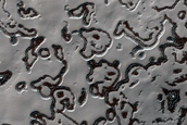 South Polar Residual Cap Site