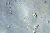 Terrain Sample