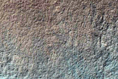 Gully Monitoring