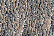 Terrain North of Tartarus Rupes