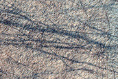 Hellas Planitia