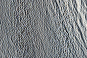 Terrain Sample