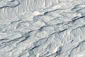 Elysium Planitia