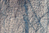 Malea Planum