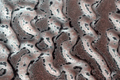 Dune Monitoring in Crater