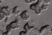 South Polar Residual Cap Site