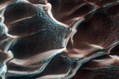 Dunes Dubbed Buzzel