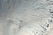 Gully Monitoring
