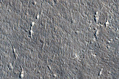 Unit Contact on Northern Plains