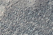 Candidate Recent Impact Site