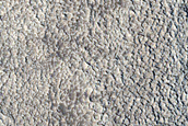 Tiny Crater with Concentric Bright Features