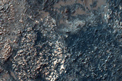 Northwest Argyre Planitia Rim Transverse Dunes
