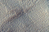 Candidate Recent Impact Site