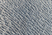 Elysium Planitia
