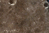 Candidate Recent Impact Site