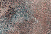Lomonosov Crater Floor