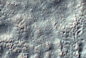 Hollows and Pits in Southern Mid-Latitude Crater