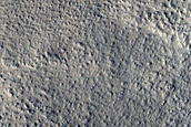 Fresh Impact Crater in Amazonis Planitia