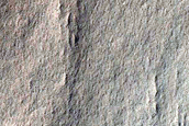 Crater Floor and Rim