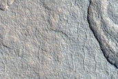 Utopia Planitia