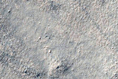 Malea Planum