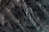 Gullies with Extensive Debris Aprons