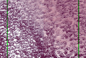 Frost Monitoring at Crater