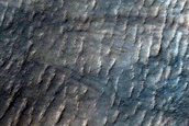 Hellas Planitia