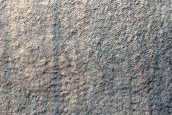 Hellas Planitia