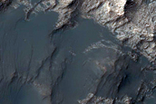 Hydrated Sulfate-Rich Terrain on Western Columbus Crater Wall