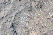 Elysium Planitia