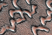 Dune Monitoring in Crater