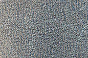 Syria and Claritas Region Dust-Raising Event Monitoring Site