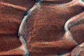 Dunes Dubbed La Jolla