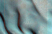 Dune Monitoring in Milankovic Crater
